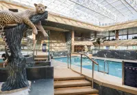 gr_15_safari-pool-(1).jpg