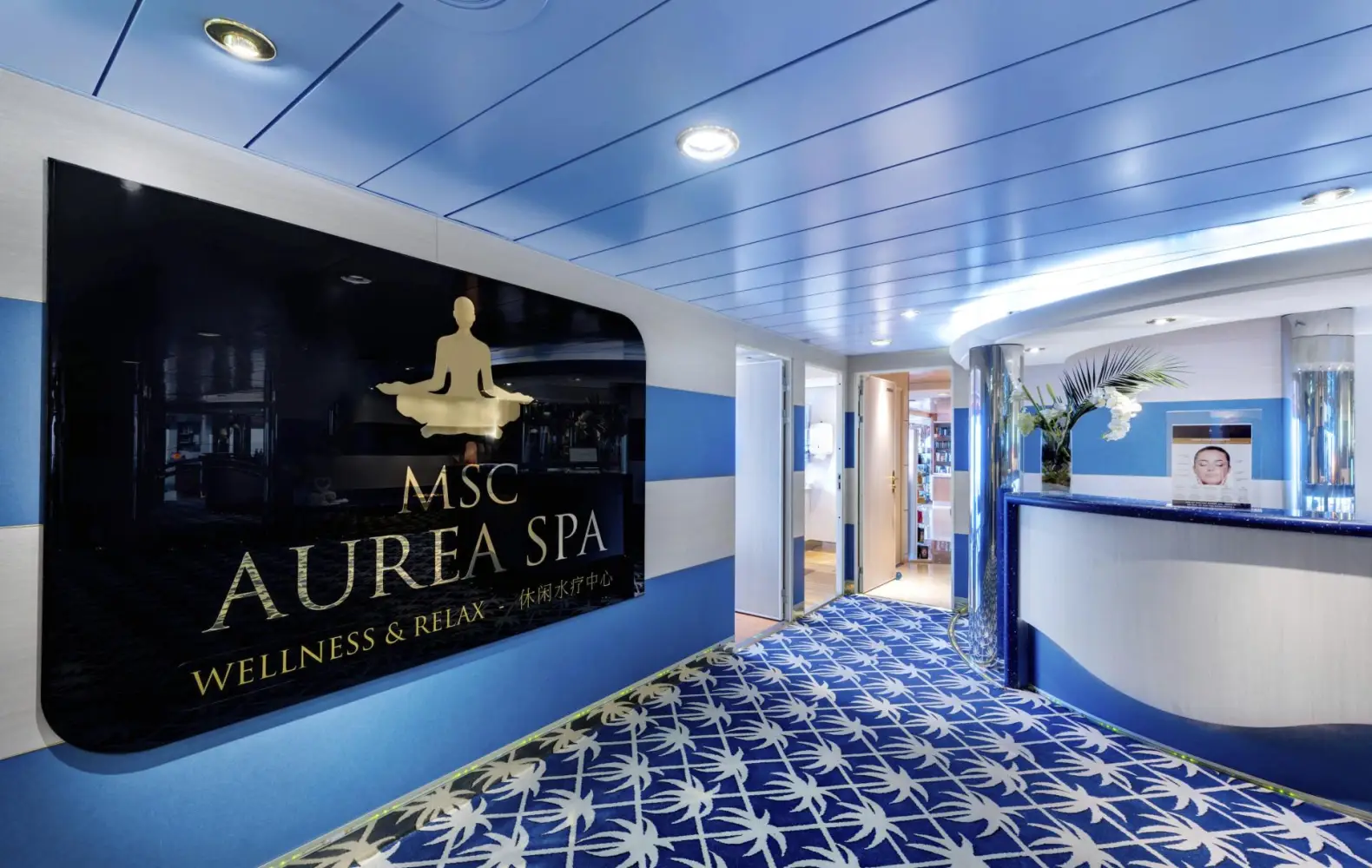 lx_11_msc-aurea-spa-(1).jpg