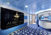 lx_11_msc-aurea-spa-(1).jpg