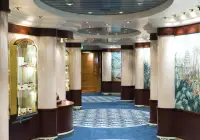 mu_13_msc-aurea-spa-(1).jpg