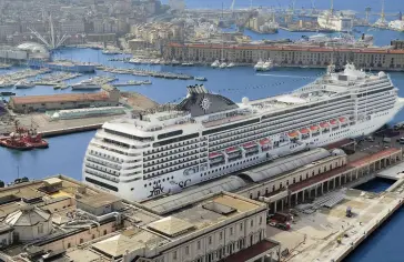 msc13016118.jpg