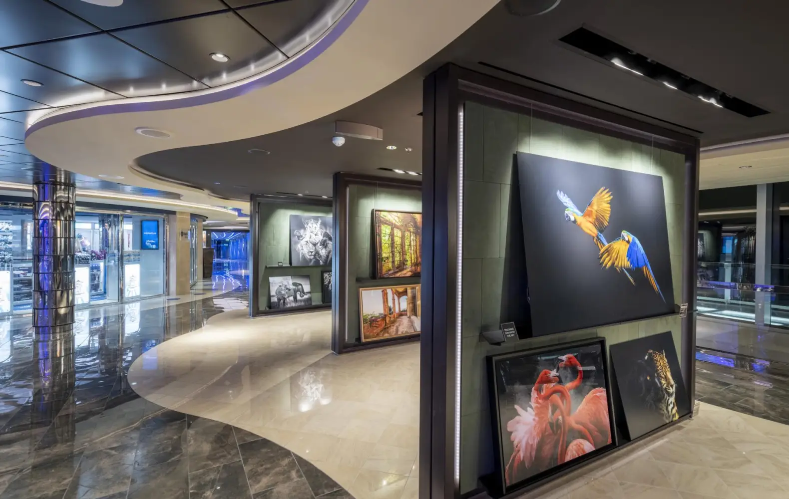 sc_08_art-gallery-(4).jpg