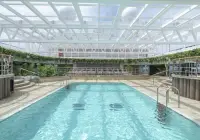 sv_18_jungle-pool--(1).jpg