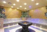 sp_14_msc-aurea-spa-(2).jpg