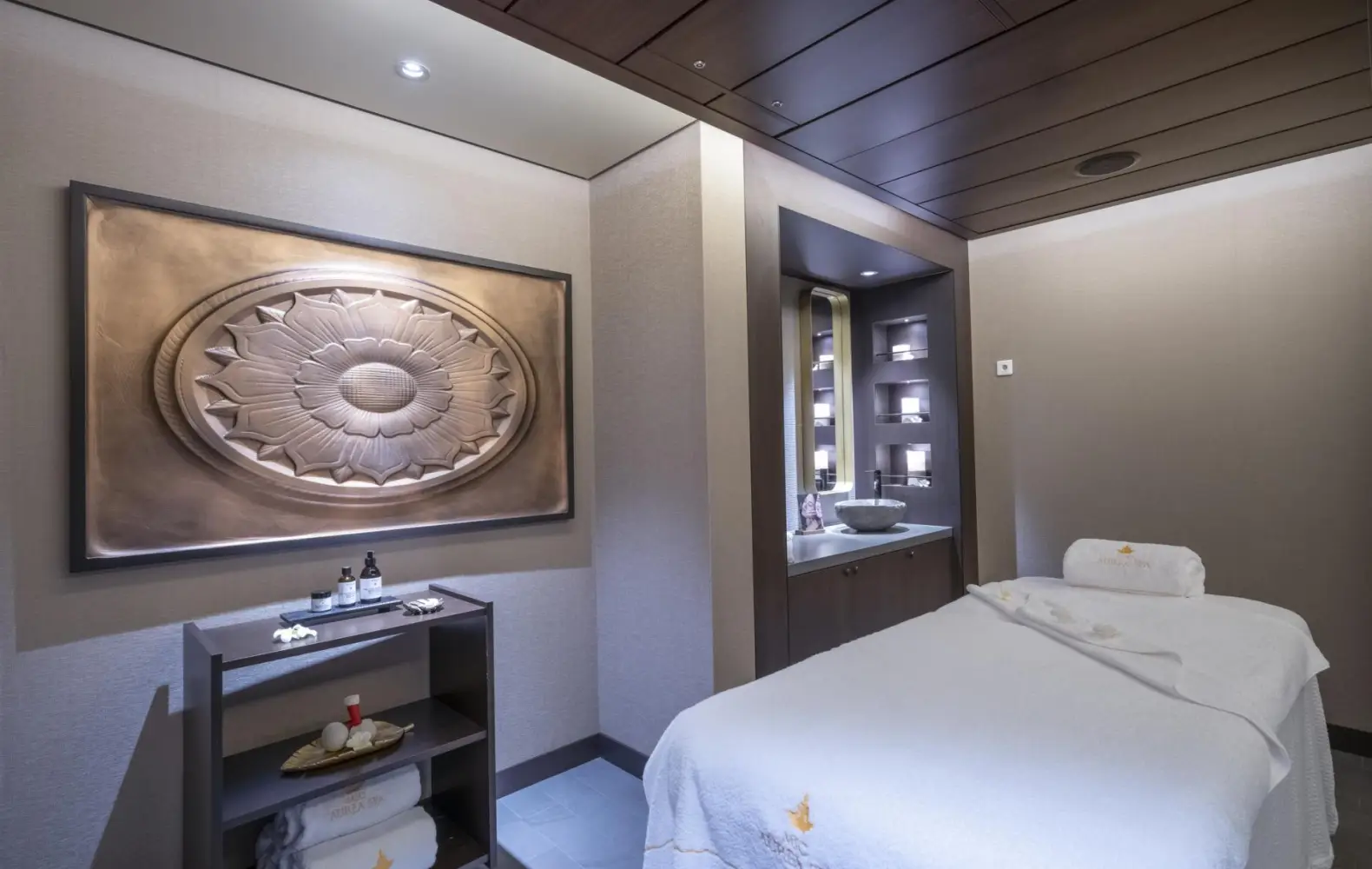eu_08_msc-aurea-spa-(13).jpg