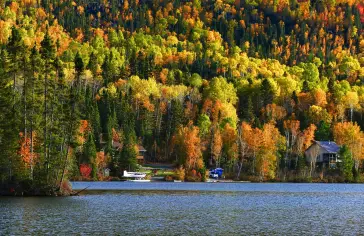 Fotka od <a href="https://pixabay.com/cs/users/alainaudet-631535/?utm_source=link-attribution&utm_medium=referral&utm_campaign=image&utm_content=3748905">Alain Audet</a> z <a href="https://pixabay.com/cs//?utm_source=link-attribution&utm_medium=referral&utm_campaign=image&utm_content=3748905">Pixabay</a>;