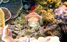 cozumel,-mexiko_uns-(4).jpg