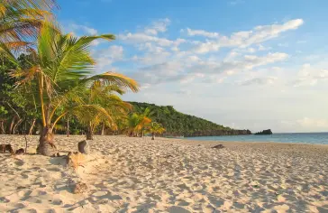 isla-de-roatan_msc.jpg