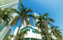 miami_usa.jpg
