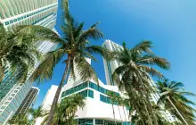 miami_usa.jpg