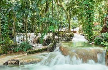 ocho-rios-(dunns-falls)_msc.jpg