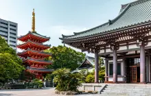 fukuoka_pex.jpg