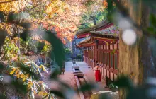 fukuoka_uns-(3).jpg