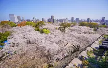 fukuoka_uns-(5).jpg