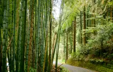 kagoshima_uns-(3).jpg