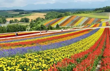 muroran-(biei)_uns.jpg