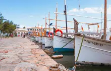 ibiza_pex-(2).jpg