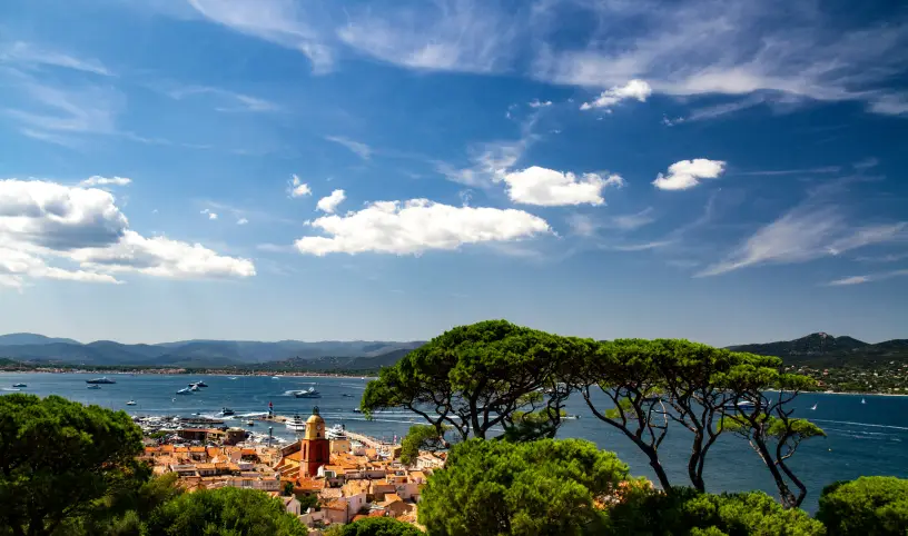Photo by <a href="https://unsplash.com/@michaelkroul?utm_content=creditCopyText&utm_medium=referral&utm_source=unsplash">Michael Kroul</a> on <a href="https://unsplash.com/photos/green-trees-near-body-of-water-under-blue-sky-during-daytime-XCeF9q1YyAE?utm_content=creditCopyText&utm_medium=referral&utm_source=unsplash">Unsplash</a>;