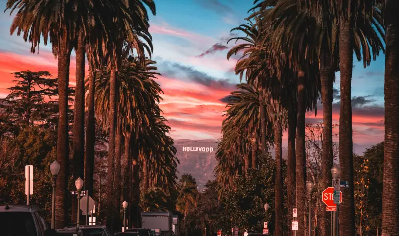 Photo by <a href="https://unsplash.com/@jakeblucker?utm_content=creditCopyText&utm_medium=referral&utm_source=unsplash">Jake Blucker</a> on <a href="https://unsplash.com/photos/people-sitting-on-chairs-near-palm-trees-during-night-time-8LlJNFLTEm0?utm_content=creditCopyText&utm_medium=referral&utm_source=unsplash">Unsplash</a>