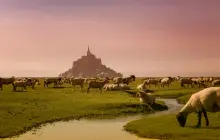 cherbourg-(mont-saint-michel)_uns-(3).jpg