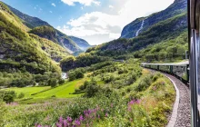 flaam_msc-(1).jpg