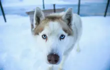 longyearbyen-(spicberky)_uns-(1).jpg