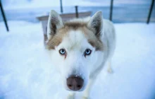 longyearbyen-(spicberky)_uns-(1).jpg