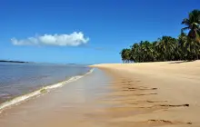 maceio_msc-_1_.jpg