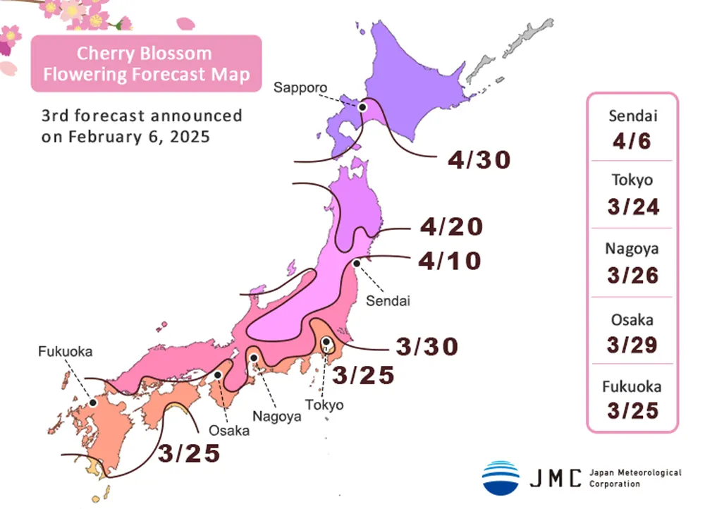 Czy sakura zakwitnie podczas naszego tegorocznego rejsu po Japonii?