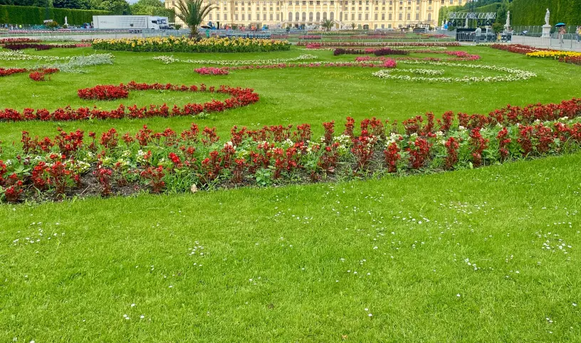 Jednodňový výlet do Viedne so ZŠ Slavičín - Vlára