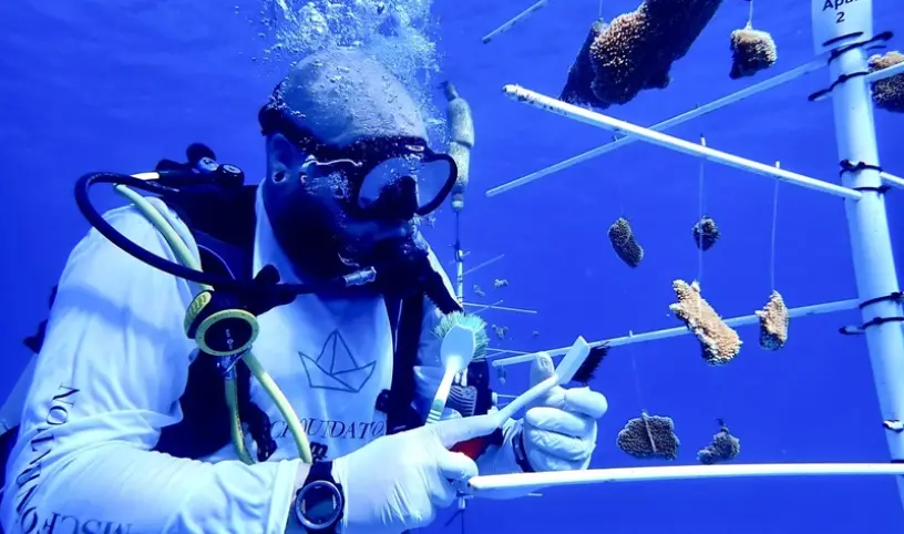 Mořská rezervace MSC Ocean Cay vyhlášena 