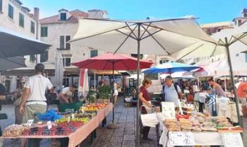 866-report-(5).jpeg