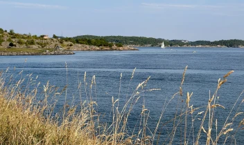 3.-kristiansand_dom-(18).jpeg