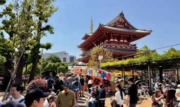 japonsko-2026-the-best-(66).jpeg