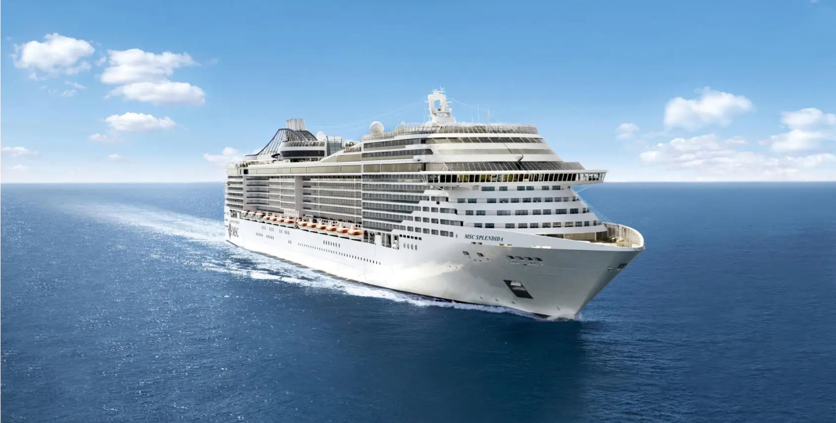 msc13015955.jpg
